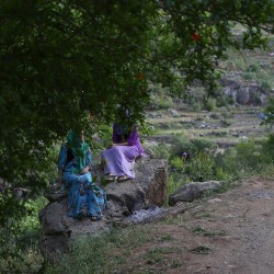 نمایشگاه استعداد ای.جی ۵ | عکس