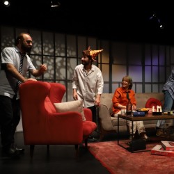 نمایش خرگوش | عکس