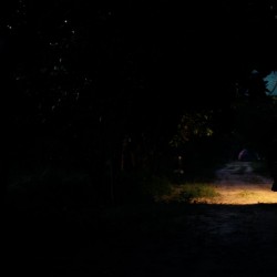 مستند کابوک | عکس