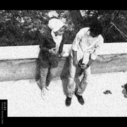 فیلم کوتاه الس | عکس