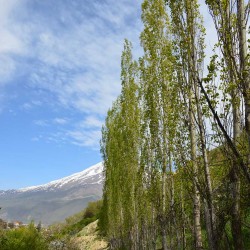 گردش یک سفر یک کتاب |روستای نوا - با مریم مفتاحی| | عکس