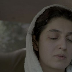 فیلم کوتاه خبر | عکس