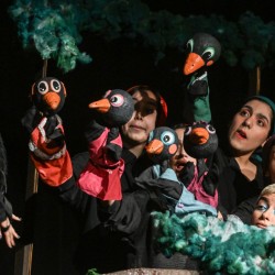 نمایش شش جوجه کلاغ و یک روباه | عکس