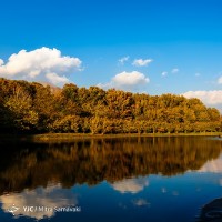 پاییز در باغ گیاه‌شناسی | عکس