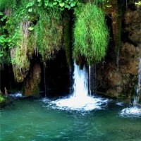 پارک ملی کروواسی | عکس