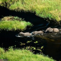 طبیعت کشور بوتسوانا Botswana | عکس