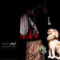 نمایش کلاغ پر | گزارش تصویری تیوال از نمایش کلاغ پر / عکاس: کیارش مسیبی | عکس