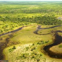 طبیعت کشور بوتسوانا Botswana | عکس