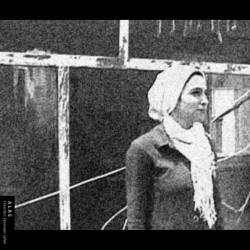 فیلم کوتاه الس | عکس