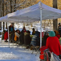 گردش سقراطی |برنامه دوم: این یک طبیعت‌گردی نیست| | گزارش تصویری تیوال از گردش سقراطی |برنامه دوم: این یک طبیعت‌گردی نیست| | عکس