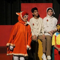 نمایش پینوکیو | عکس