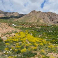 گردش یک سفر یک کتاب |دشت لزور  - با ارسلان فصیحی| | سفرنامه «یک سفر یک کتاب |دشت لزور - با ارسلان فصیحی|» | عکس