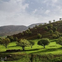 دهدز بهشت پنهان خوزستان | عکس