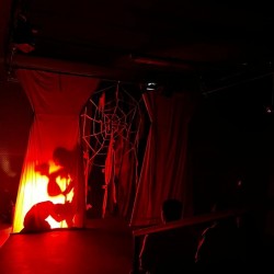 نمایش گوزن زرد | عکس