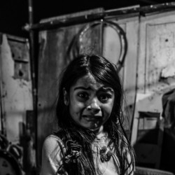 فیلم کوتاه فهرست حیوانات | عکس