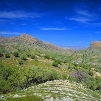 طبیعت بهاری گچساران در کهگیلویه و بویر احمد | عکس