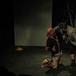 نمایش گوزن زرد | عکس