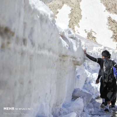رهایی «عسل کشان» از برف | عکس