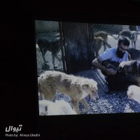 کنسرت خیریه گروه ارنواز به نفع حیوانات آسیب‌دیده پناهگاه رسا | گزارش تصویری تیوال از کنسرت گروه ارنواز به نفع حیوانات آسیب‌دیده پناهگاه رسا / عکاس: علیرضا قدیری | عکس