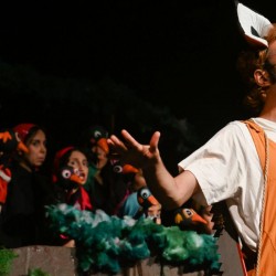 نمایش شش جوجه کلاغ و یک روباه | عکس