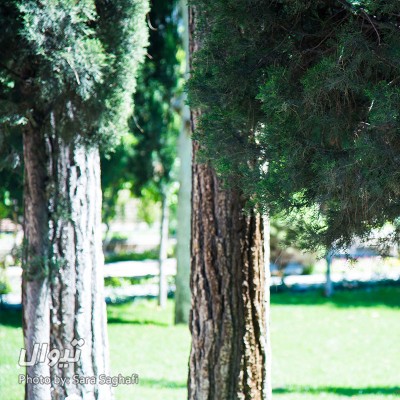 گزارش تصویری تیوال از نخستین روز دومین جشنواره دانشگاهی امام رضا (ع) / عکاس: سارا ثقفی | عکس