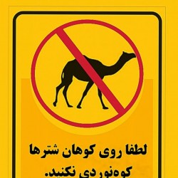 نمایش آقا ذبیح | عکس