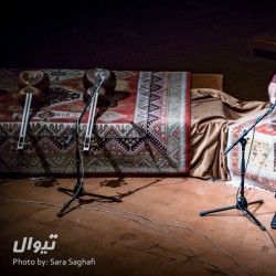 کنسرت تکنوازی تار علی اصغر عربشاهی به همراه کوارتت تار | عکس