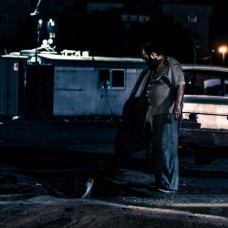 فیلم کوتاه فهرست حیوانات | عکس