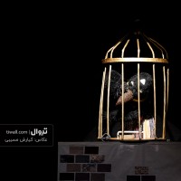 نمایش کلاغ پر | گزارش تصویری تیوال از نمایش کلاغ پر / عکاس: کیارش مسیبی | عکس