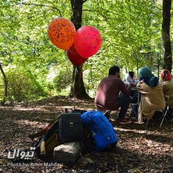 گردش سقراطی |برنامه دهم: جنگل جوارم و گفتگویی با موضوع مهاجرت| | عکس