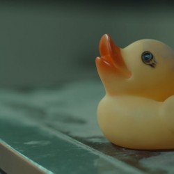 فیلم کوتاه پژواک های دشت عروس دریایی | عکس