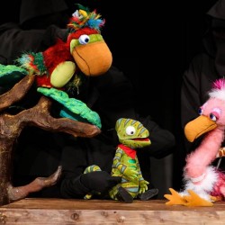 نمایش اوکاپی | عکس