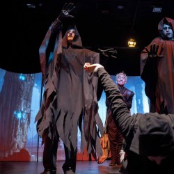 نمایش بزم پادشاه پروانه | عکس