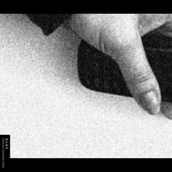 فیلم کوتاه الس | عکس