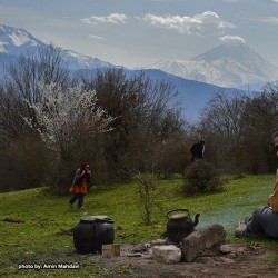 گردش یک سفر چند بازی نمایشی |جنگل الیمستان - با همراهی جوکر| | عکس