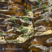  دره شیرز | عکس