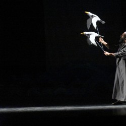 نمایش بچه نهنگ | عکس