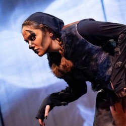 نمایش بزم پادشاه پروانه | عکس