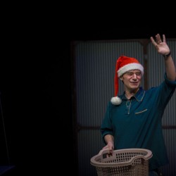 نمایش موش های بلفاست | عکس