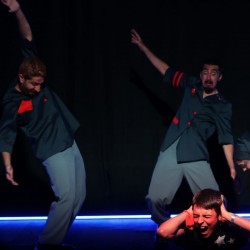 نمایش ماجرای عجیب سگی در شب | عکس