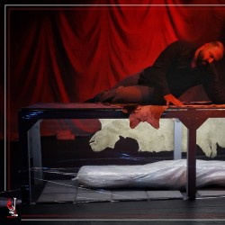 نمایش گاو‌داری | عکس