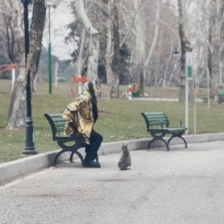 فیلم کوتاه آرزوی آبی | عکس