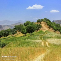  طبیعت زیبای شهرستان اردل | عکس