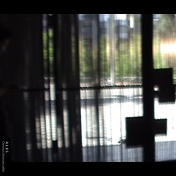 فیلم کوتاه الس | عکس