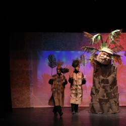 نمایش آرزوی بزرگ | عکس