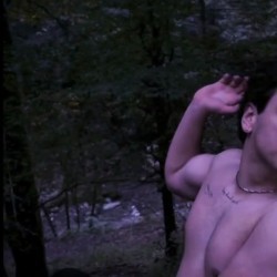 فیلم جنگله شب | عکس