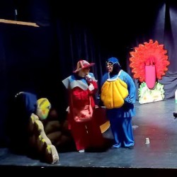 نمایش ساحل سنگی | عکس