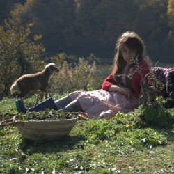 فیلم کوتاه دودمان | عکس