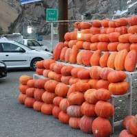 گردش جشن مهرگان در شهرستانک | گزارش تصویری از تور جشن مهرگان | عکس