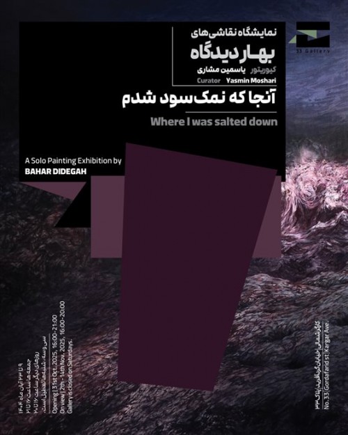 عکس نمایشگاه آنجا که نمک‌سود شدم